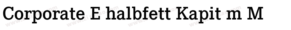 Corporate E halbfett Kapit m Medziff字体转换